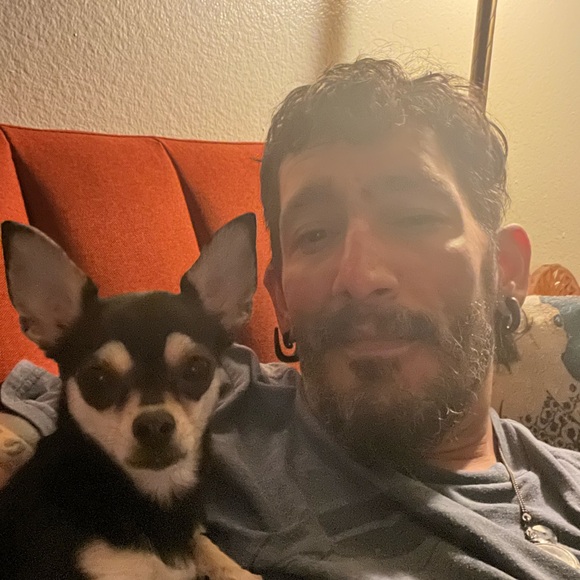 Meet your Posher, Niles - Picture 1 of 1